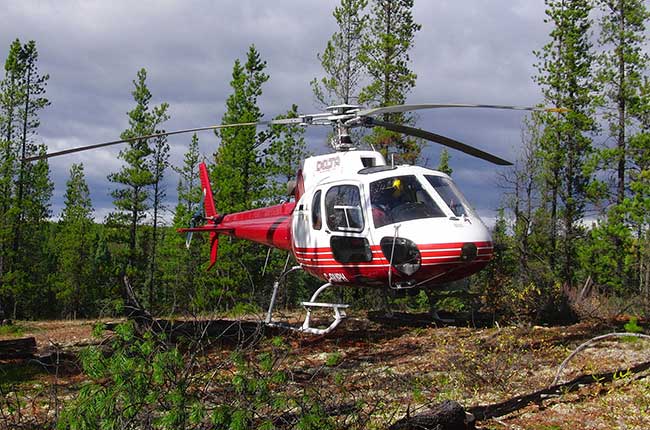Delta Helicopters aircraft